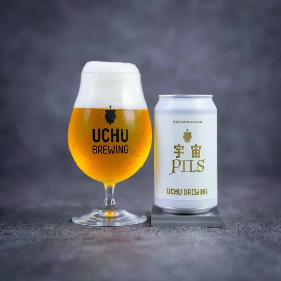 宇宙PILS